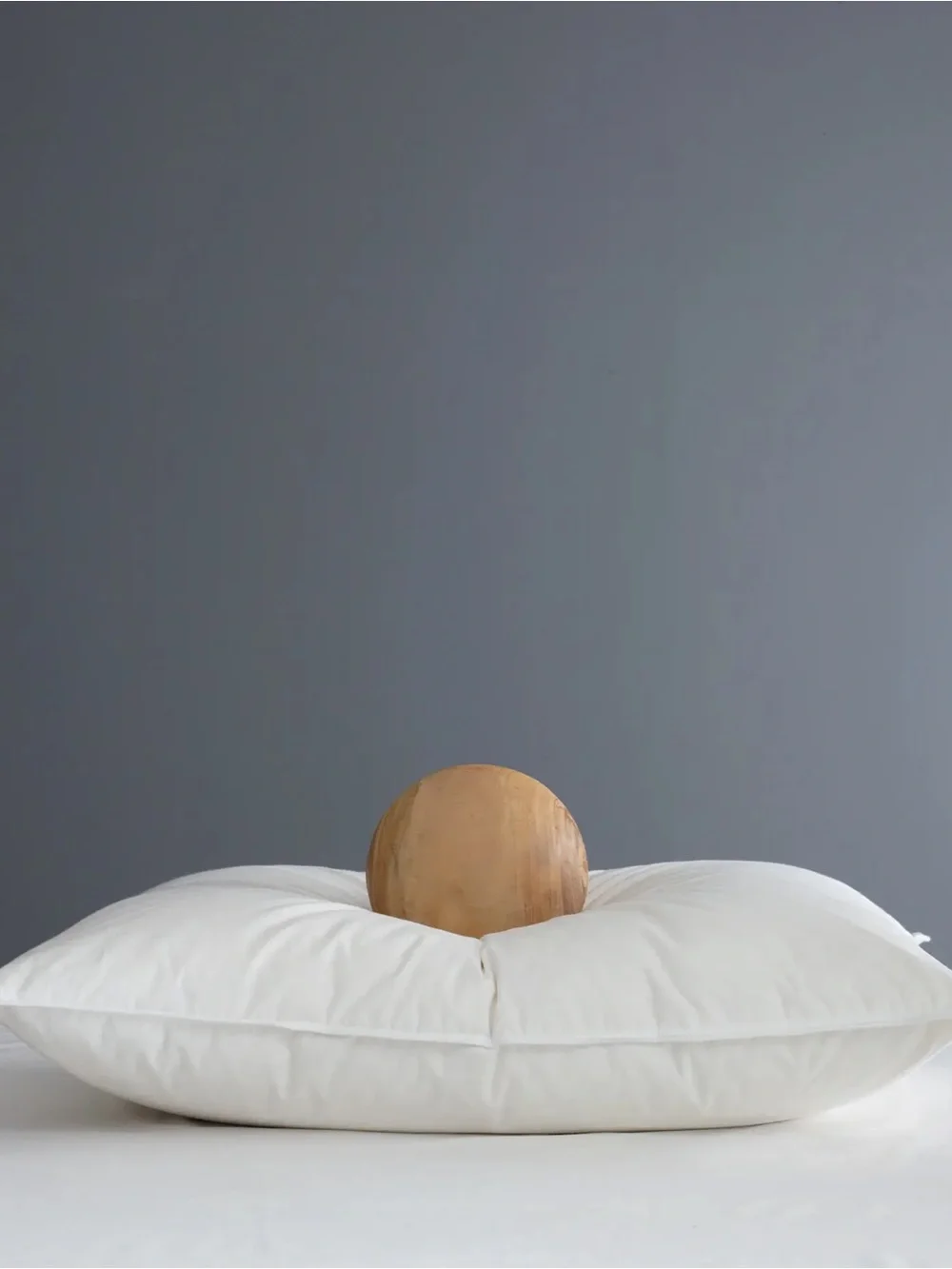 NWT QUINCE Premium Down Pillow Standard Medium Firmness